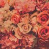 Tapeter FlowerWall DD118524 DD118524 Mönster