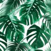Tapeter PalmLeaves DD118572 DD118572 Mönster