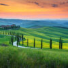 Tapeter Tuscany DD118650 DD118650 Mönster
