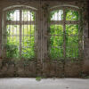 Tapeter OldWindow DD118794 DD118794 Mönster