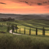 Tapeter Tuscany DD118652 DD118652 Mönster
