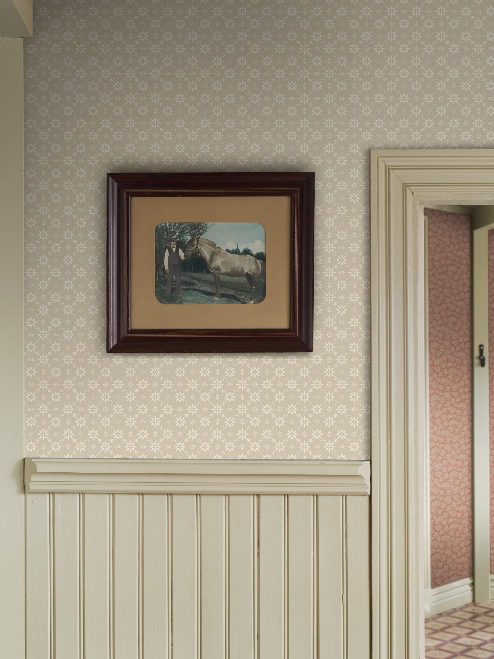 8068_Stella_Roomshot_2